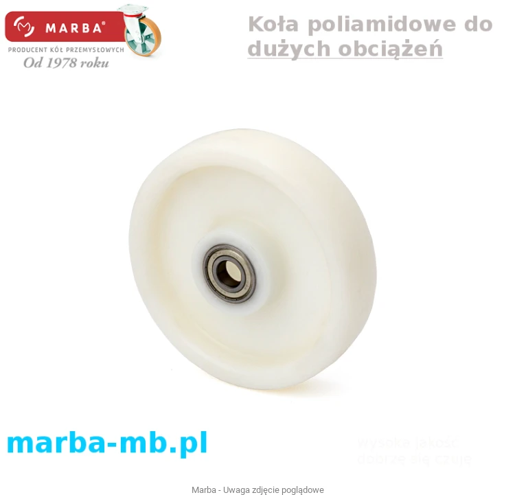 Koło poliamidowe na duże obciążenia koła plastikowe koła transportowe.png
