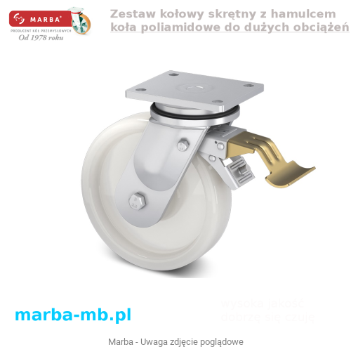 Zestaw skrętny z hamulcem koła poliamidowe do dużych obciążeń zestawy kołowe .png