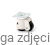 FSR-3.png