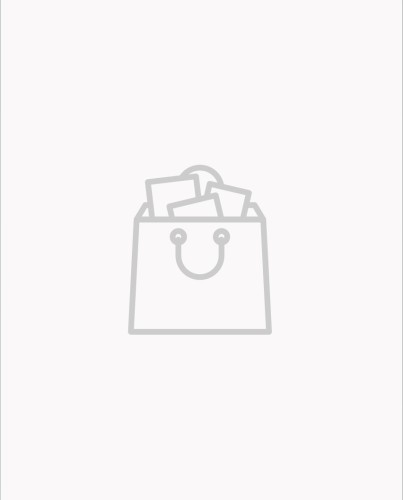 FSR-3.png